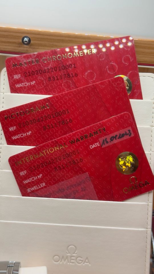 Omega Seamaster Diver 300m 42 mm – Ref. 210.30.42.20.10.001